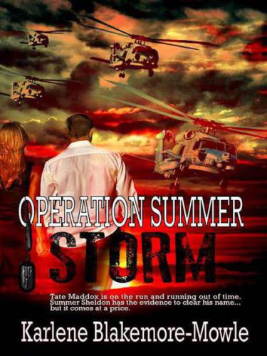 Operation Summer Storm