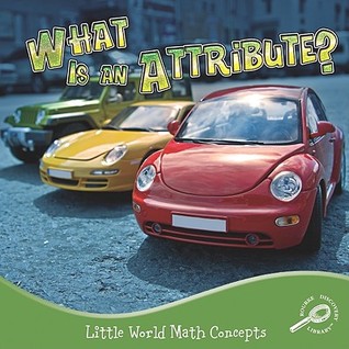 What Is an Attribute?