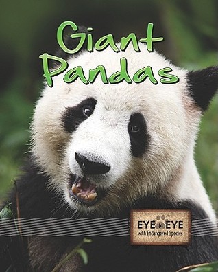 Giant Pandas