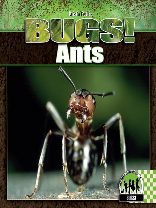 Ants