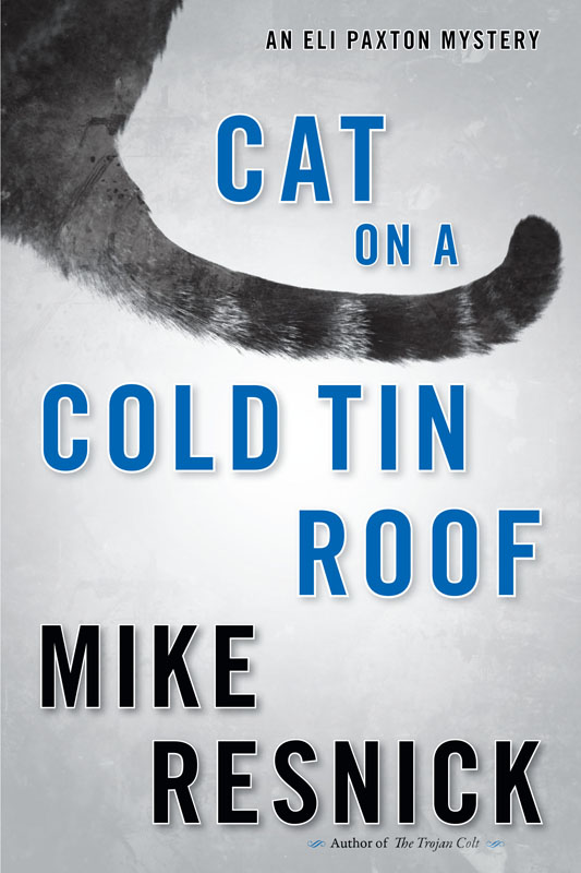 Cat on a Cold Tin Roof