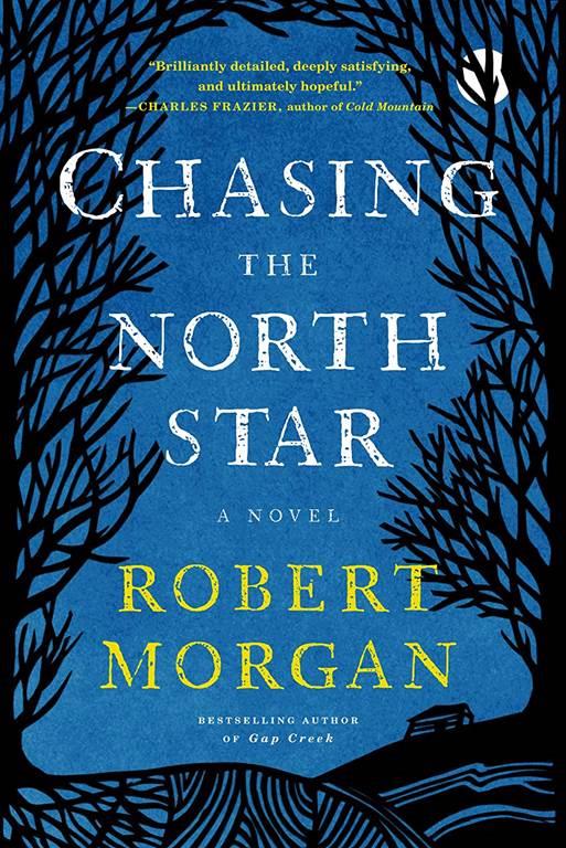 Chasing the North Star: A Novel