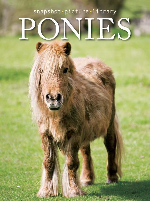 Ponies