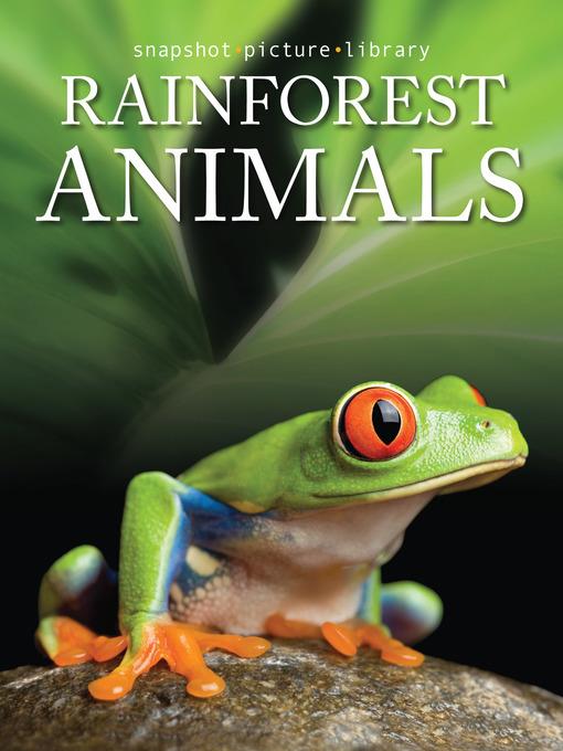 Rainforest Animals