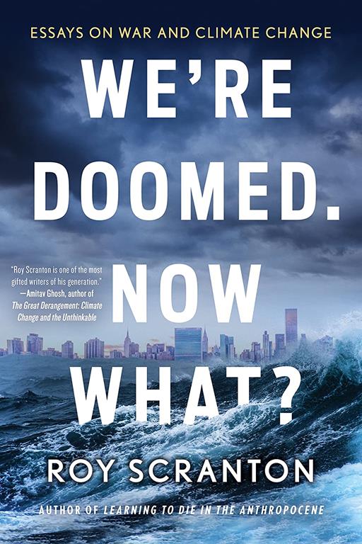 We're Doomed. Now What? Essays on War and Climate Change