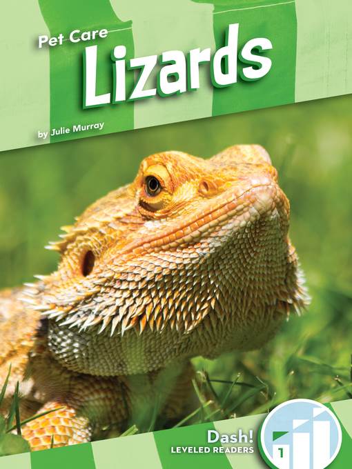 Lizards