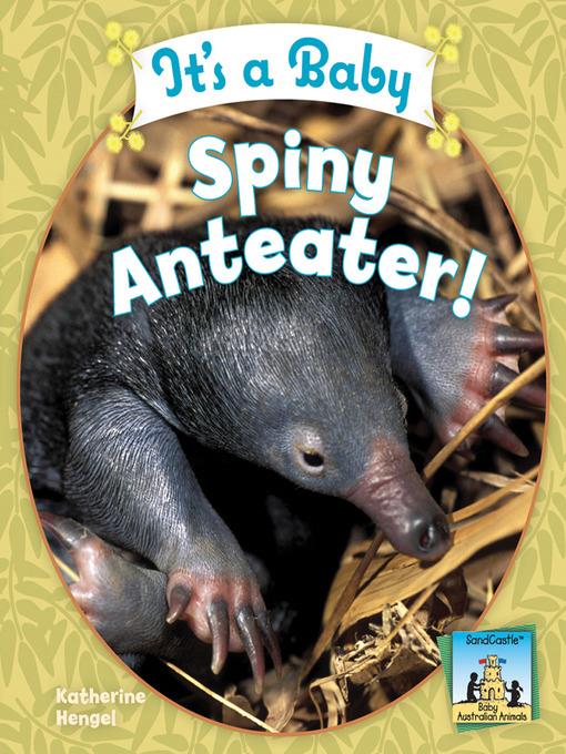 It's a Baby Spiny Anteater!