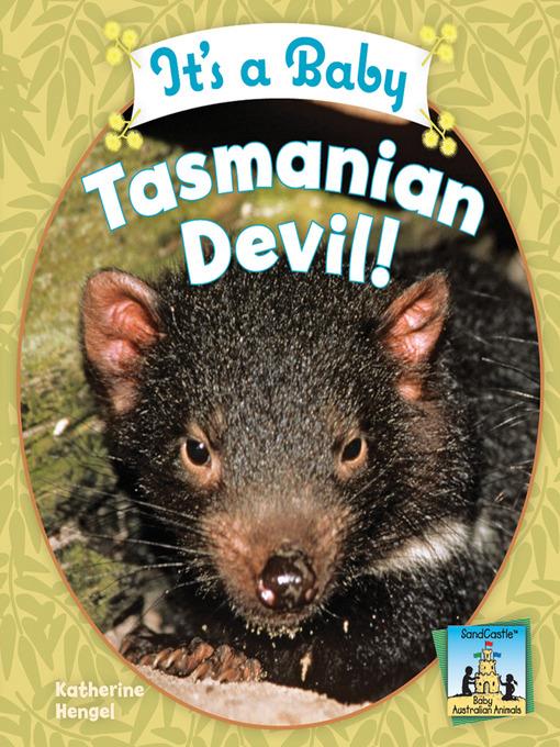 It's a Baby Tasmanian Devil!