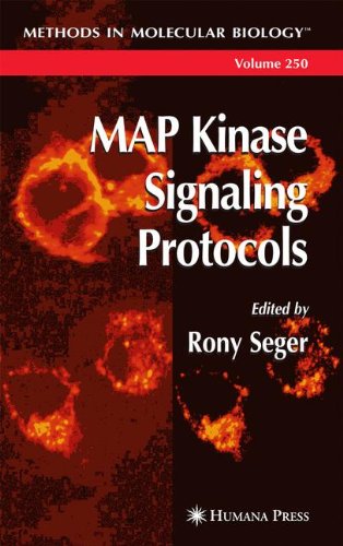 Map Kinase Signaling Protocols