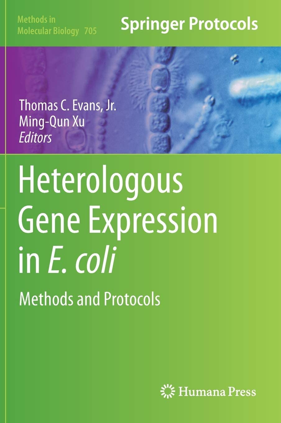 Heterologous Gene Expression in E.Coli