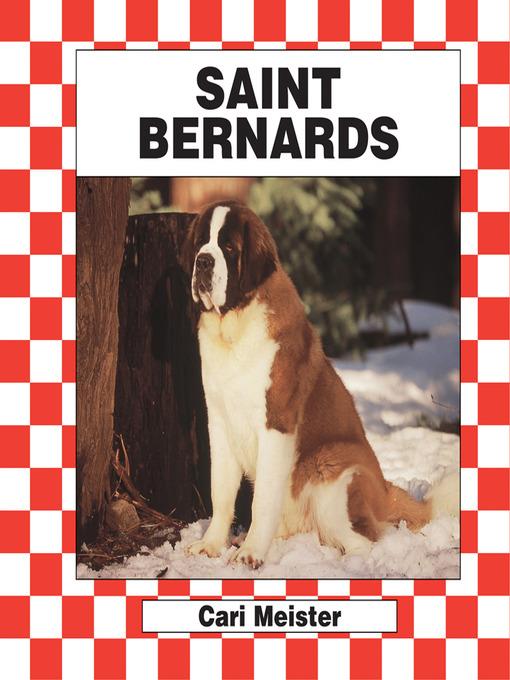 Saint Bernards