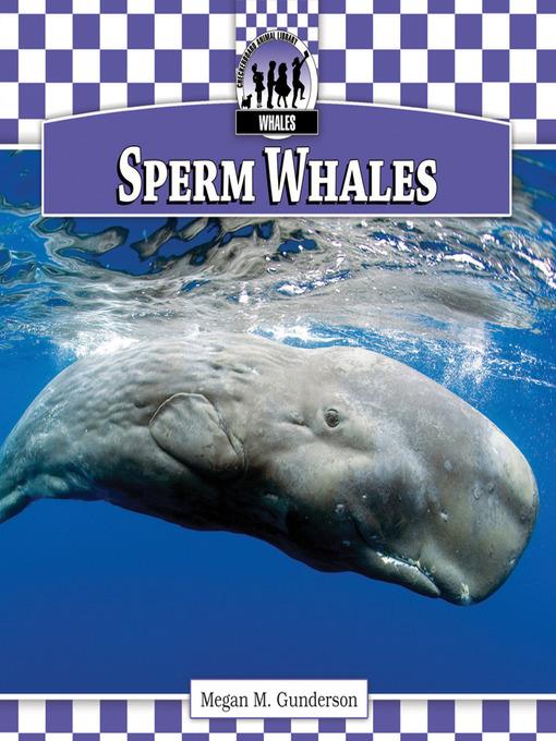 Sperm Whales