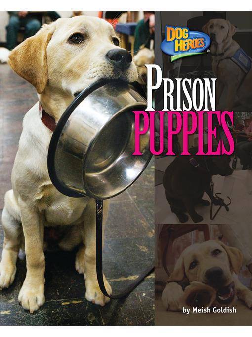 Prison Puppies