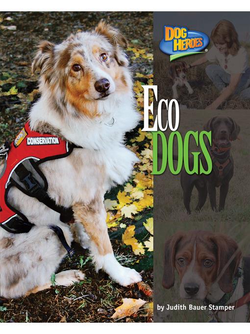 Eco Dogs