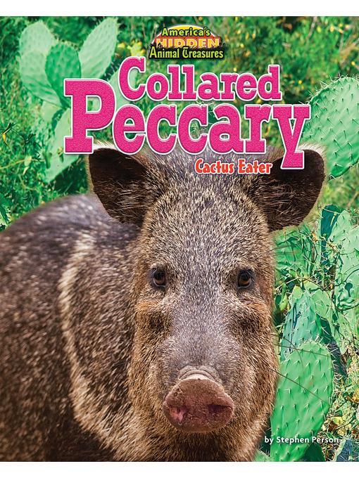 Collared Peccary