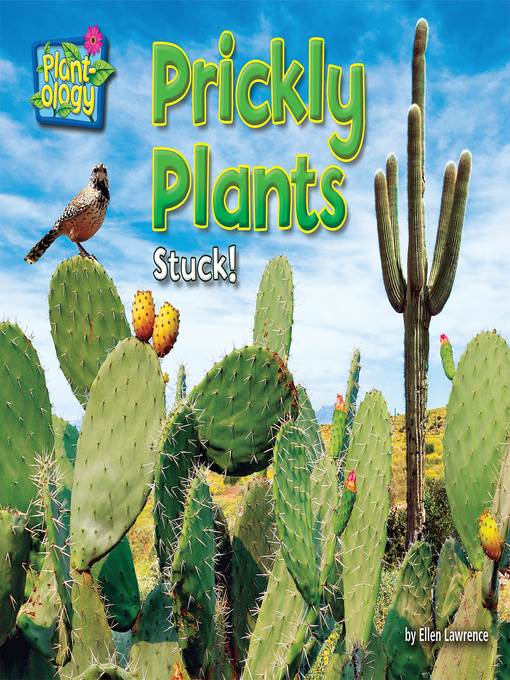 Prickly Plants