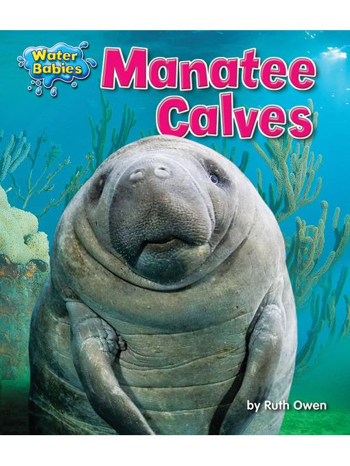 Manatee Calves