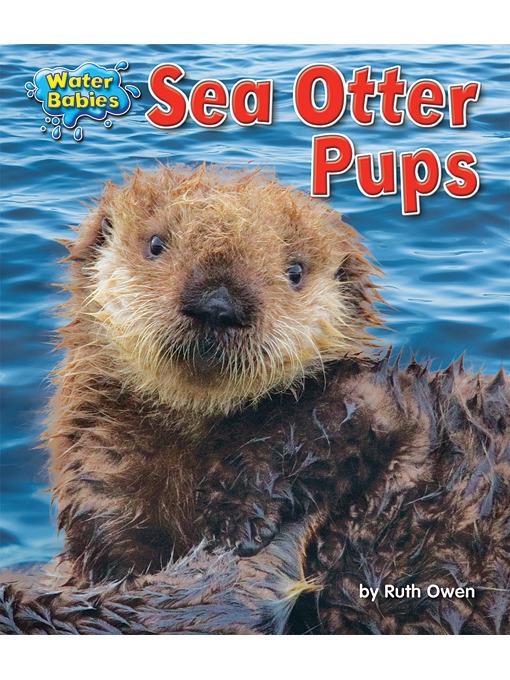 Sea Otter Pups