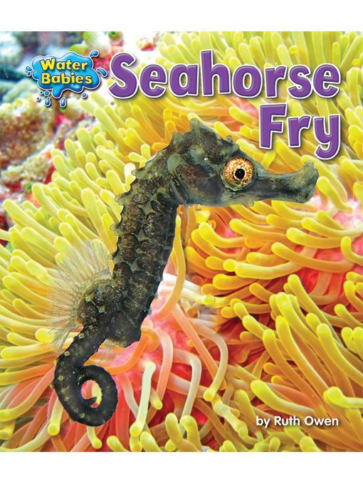 Seahorse Fry