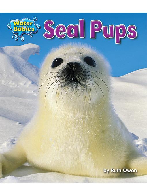 Seal Pups