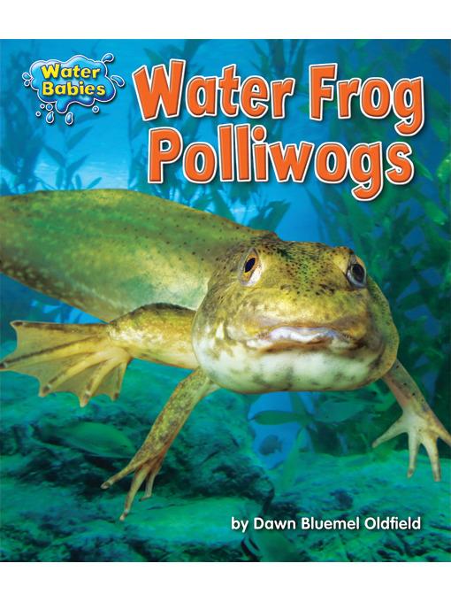 Water Frog Polliwogs