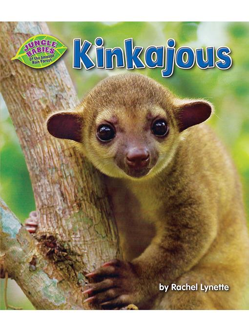 Kinkajous