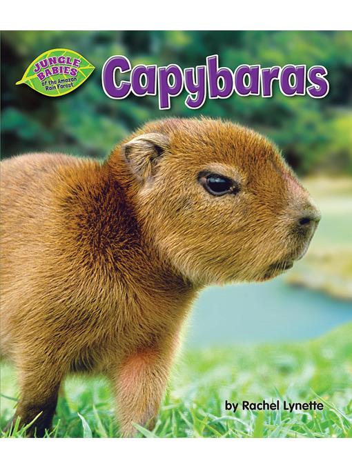 Capybaras