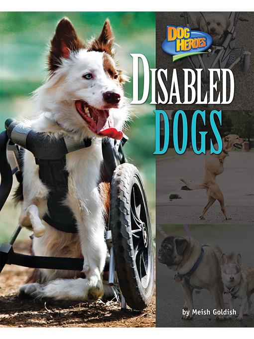 Disabled Dogs