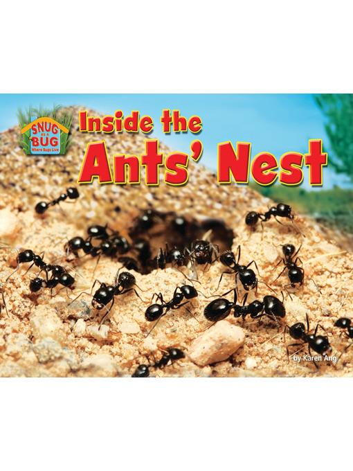 Inside the Ants' Nest