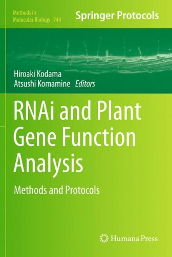 Rnai and Plant Gene Function Analysis