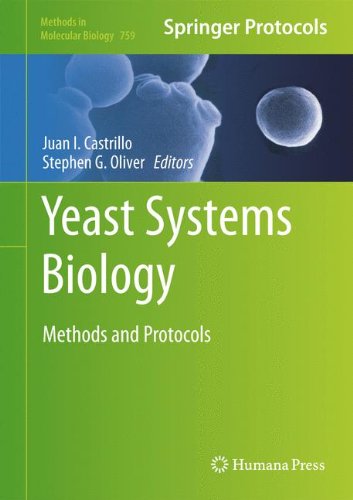 Yeast Systems Biology