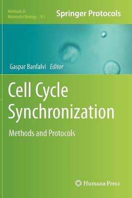 Cell Cycle Synchronization