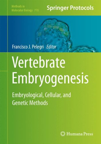 Vertebrate Embryogenesis