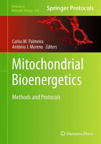 Mitochondrial Bioenergetics