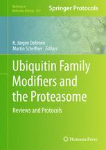 Ubiquitin Family Modifiers and the Proteasome