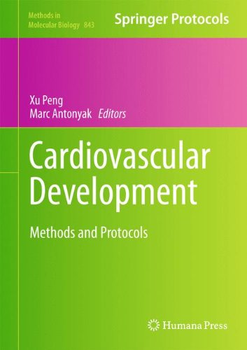 Cardiovascular Development