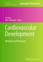 Cardiovascular Development