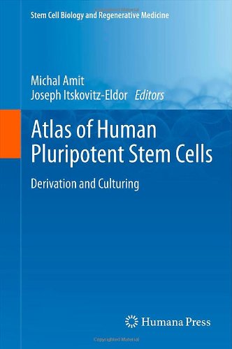 Atlas of Human Pluripotent Stem Cells
