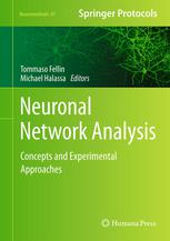 Neuronal Network Analysis