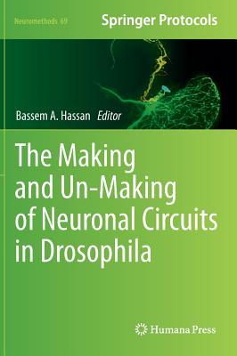 The Making and Un-Making of Neuronal Circuits in Drosophila