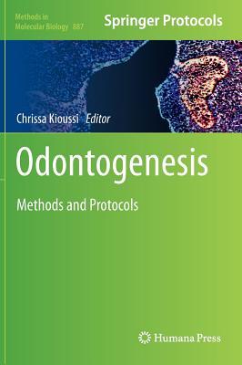 Odontogenesis