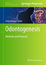 Odontogenesis