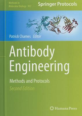 Antibody Engineering