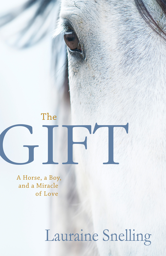 The Gift: A Horse, a Boy, and a Miracle of Love