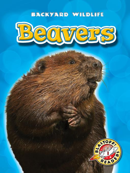 Beavers