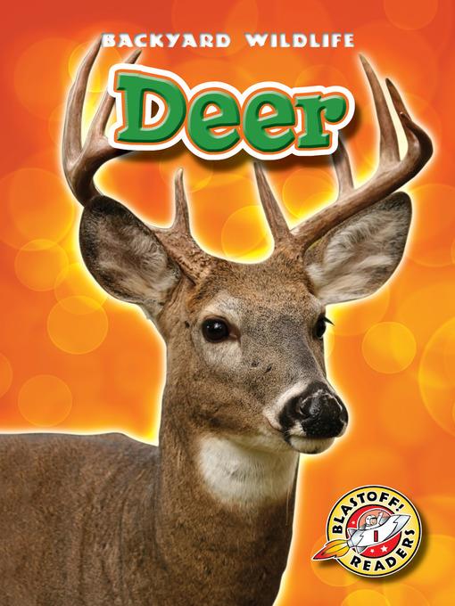 Deer