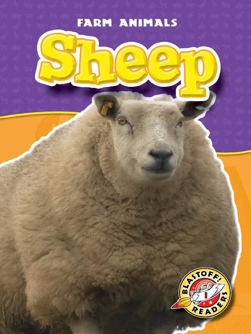 Sheep