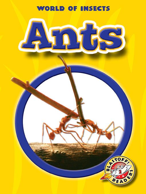 Ants