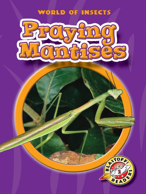 Praying Mantises
