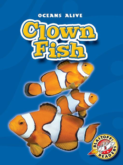 Clown Fish